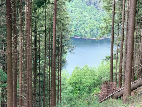 Osburger Panoramaweg - OS3