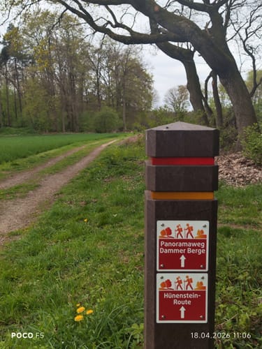 Nordic Walking Park Dammer Berge - Route 8 Hünensteinroute