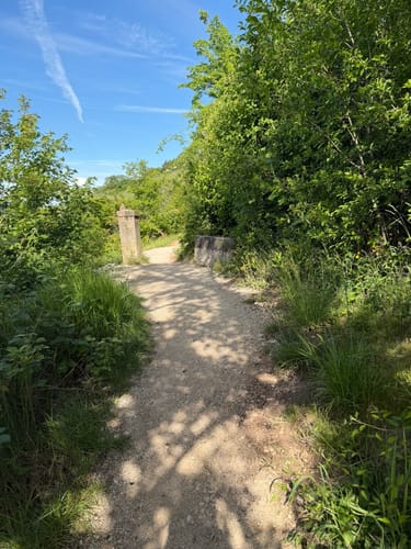 Unterjesinger Wengertwegle (Premiumspazierwanderweg)
