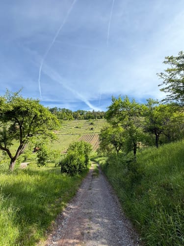 Unterjesinger Wengertwegle (Premiumspazierwanderweg)