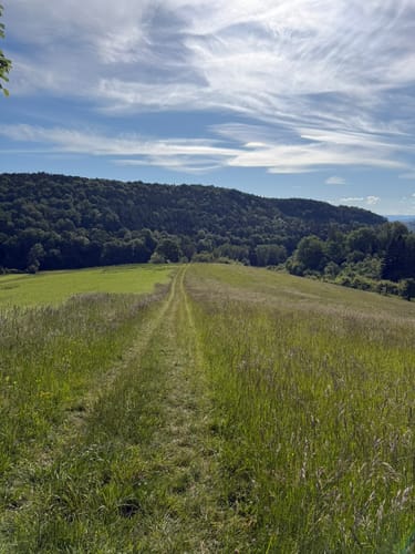 Unterjesinger Wengertwegle (Premiumspazierwanderweg)
