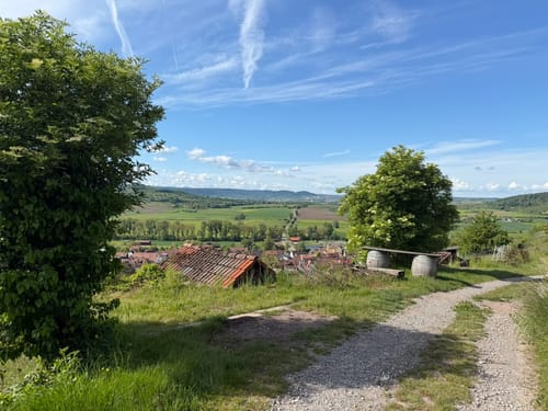 Unterjesinger Wengertwegle (Premiumspazierwanderweg)