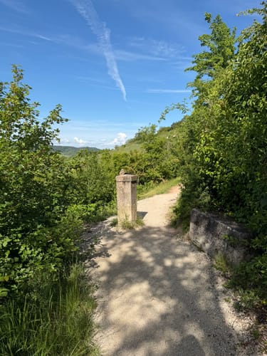 Unterjesinger Wengertwegle (Premiumspazierwanderweg)