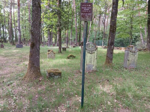 Durch die Mehlinger Heide