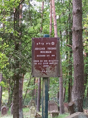 Durch die Mehlinger Heide