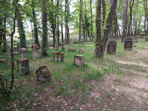 Durch die Mehlinger Heide