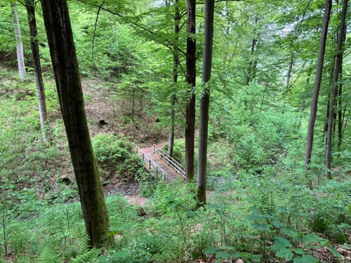 Latrop, Schanze und Grenzweg