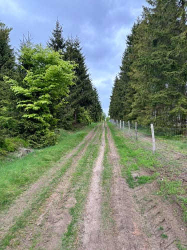 Latrop, Schanze und Grenzweg