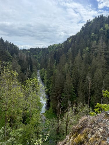 Wutachschlucht - Rötenbach