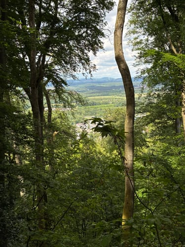 Landstuhl - Kirchberg Bismarckturm