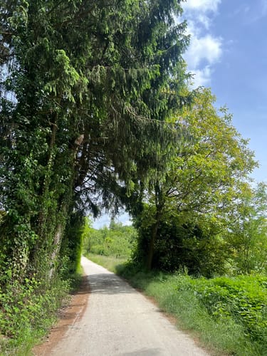 Bad Soden am Taunus: Alter Kurpark - Schmiebachtal - Wilhelmspark
