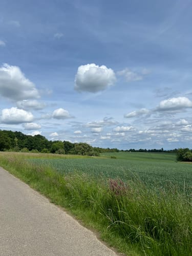 Bad Soden am Taunus: Alter Kurpark - Schmiebachtal - Wilhelmspark