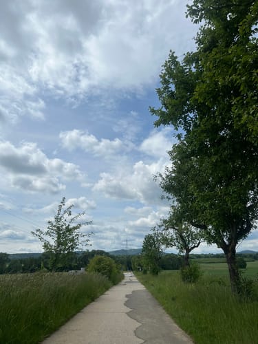 Bad Soden am Taunus: Alter Kurpark - Schmiebachtal - Wilhelmspark