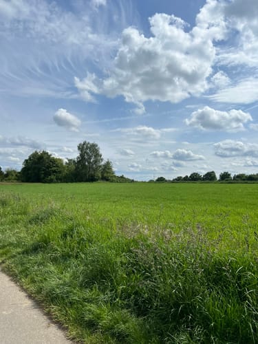 Bad Soden am Taunus: Alter Kurpark - Schmiebachtal - Wilhelmspark