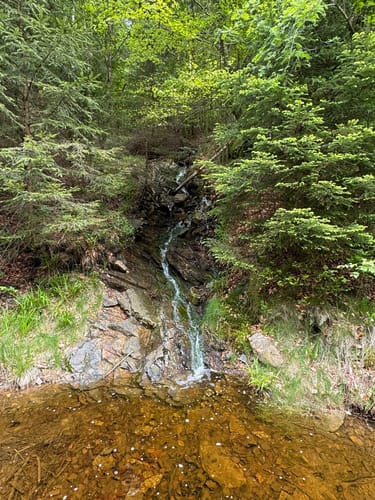 Haus Ternell -  Herzogenhügel [CLOSED]