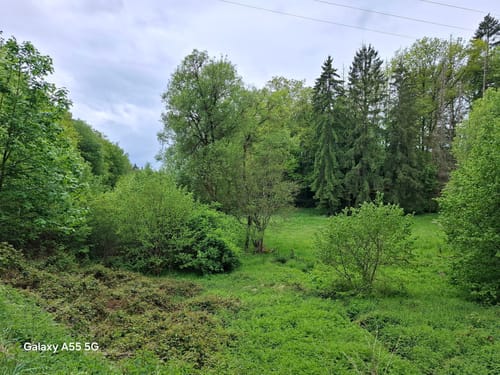 Naturpark Südeifel Wanderweg Nr. 26 - Ammeldingen-Plascheid