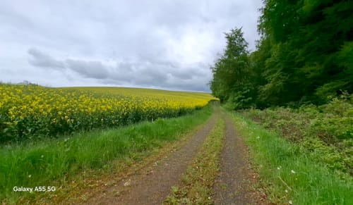 Naturpark Südeifel Wanderweg Nr. 26 - Ammeldingen-Plascheid