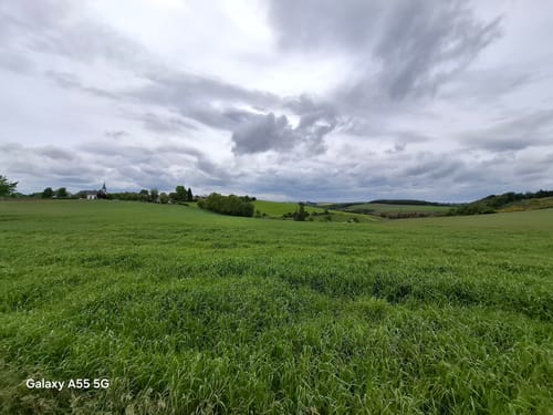Naturpark Südeifel Wanderweg Nr. 26 - Ammeldingen-Plascheid