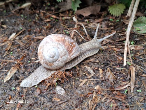 Naturpark Südeifel Wanderweg Nr. 26 - Ammeldingen-Plascheid