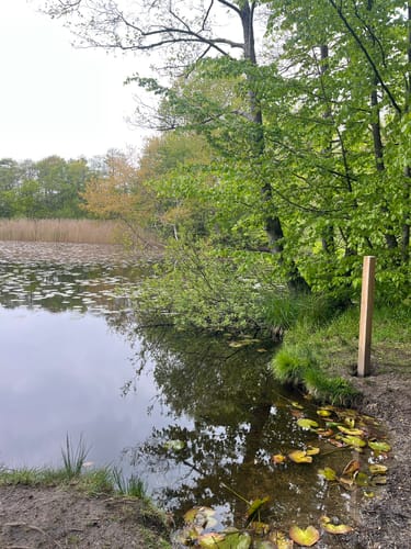 Marienhölzung Rundweg