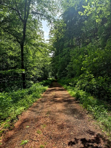 Ensheimer Brunnenweg (Premiumwanderweg)
