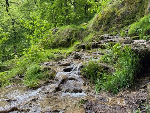 Uracher Wasserfall - Gütersteiner Wasserfall