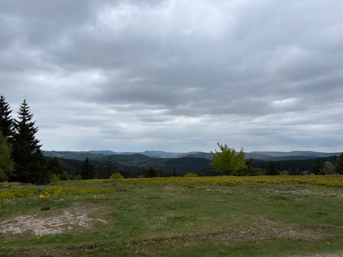 Kahler-Asten-Steig (Premiumwanderweg)