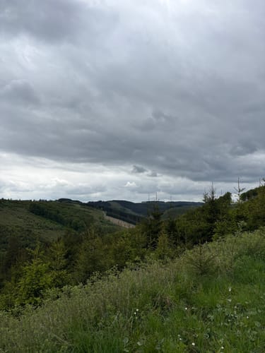 Kahler-Asten-Steig (Premiumwanderweg)