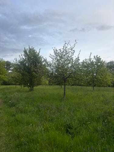Nahe-Felsen-Weg (Traumschleife)
