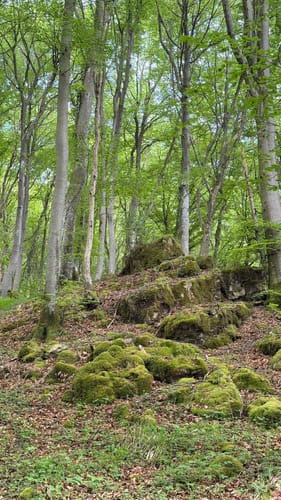 Schönecker Schweiz Rundweg