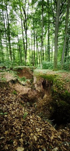 Aschaffenburg 3 : Gailbach – Marmor, Stein und Spessartit