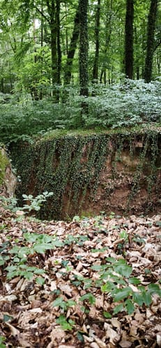 Aschaffenburg 3 : Gailbach – Marmor, Stein und Spessartit