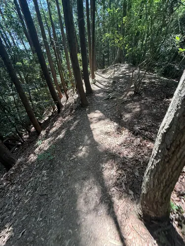 草と山 Kusato-yama - hikes and trails to get you there | AllTrails