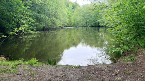 Rund um die Große Höhe und Markusberg