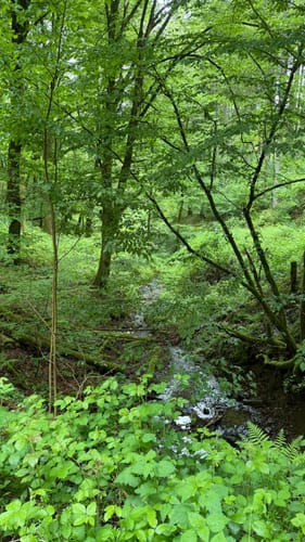 Dreiländereck (Nat’Our Route 1)