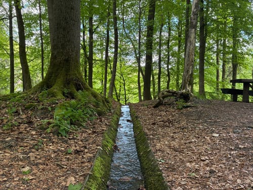 Durch das Höllental