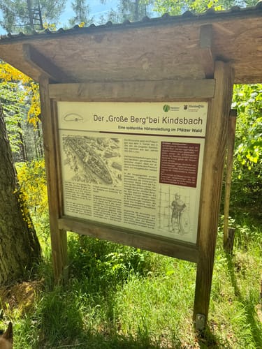 Gelterswoog - Kolbenwoog - Ruine Burg Perlenberg