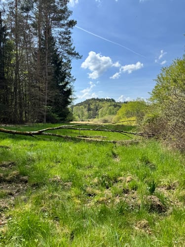 Gelterswoog - Kolbenwoog - Ruine Burg Perlenberg