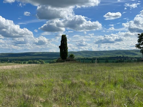 Quedlinburg - Warnstedt - Weddersleben