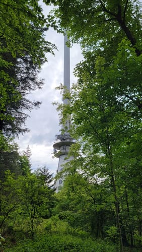 Donnersberg Rundweg