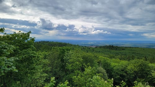 Donnersberg Rundweg
