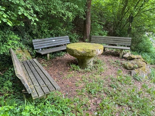 Burgruine Montfort Rundweg