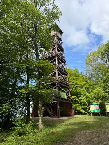 Plesse P5 (Premiumwanderweg)