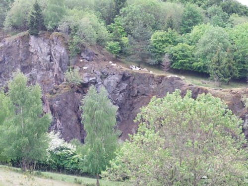 Von Steffeln zum Eichholzmaar