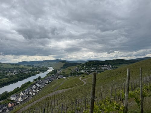 Rund um der Mosel von Bernkastel-Kues