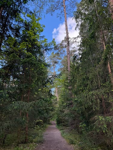 Schwarzach Klamm