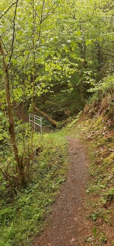 Heilhausen: Wanderweg 87