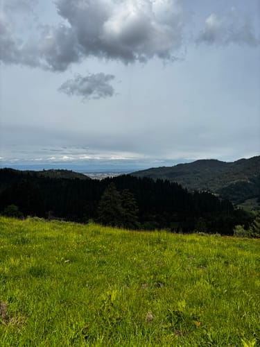 Mühlefelsenpfad (Wildnispfad Mühlefelsen-Bannwald)