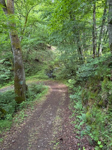 Schladt Rundwanderung