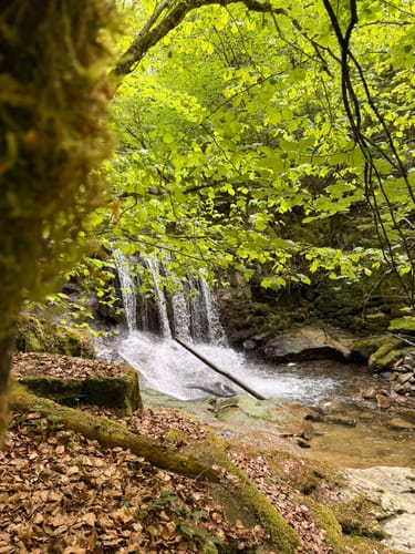 Hausbachklamm und Unterberg ab Weiler